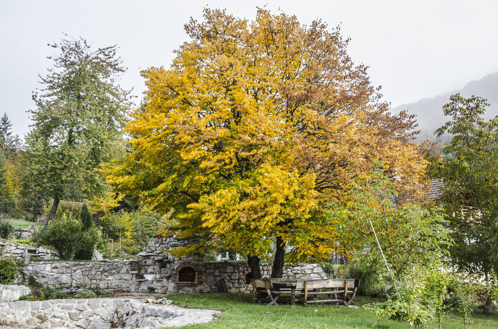 Miskar Rooms Cerknica Eksteriør billede