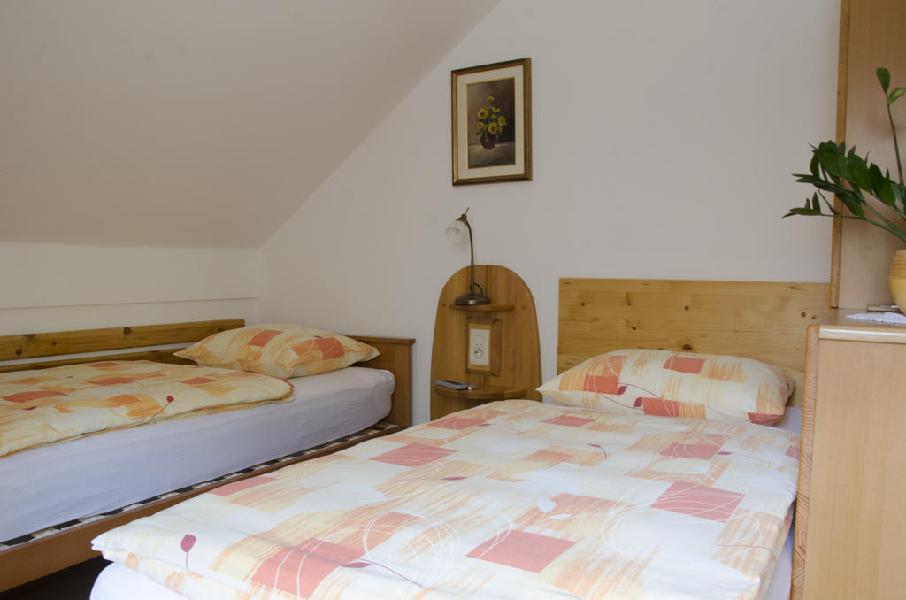 Miskar Rooms Cerknica Værelse billede